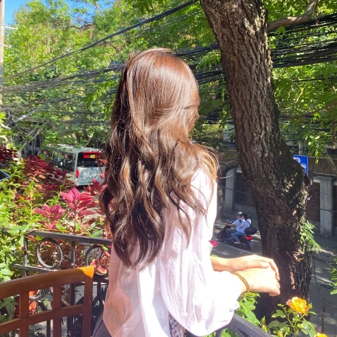埃及自由之花